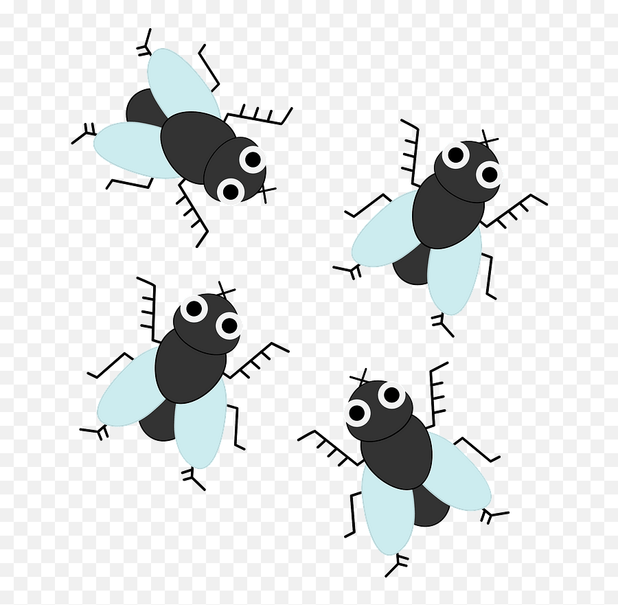 Fly Insect Clipart Png