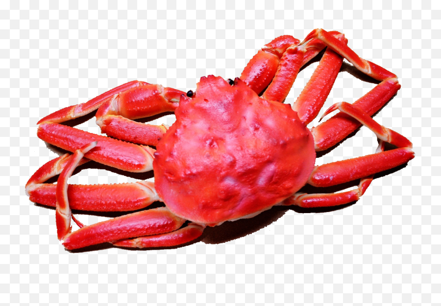 Library Seafood Clipart Crab Meat - Lobster Crab Gif Png,Crab Png