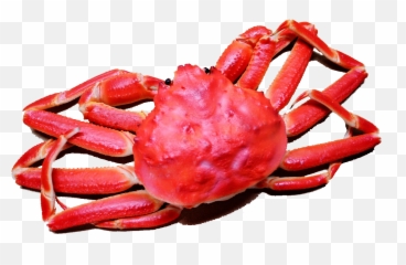 Library Seafood Clipart Crab Meat - Lobster Crab Gif Png,Crab Png