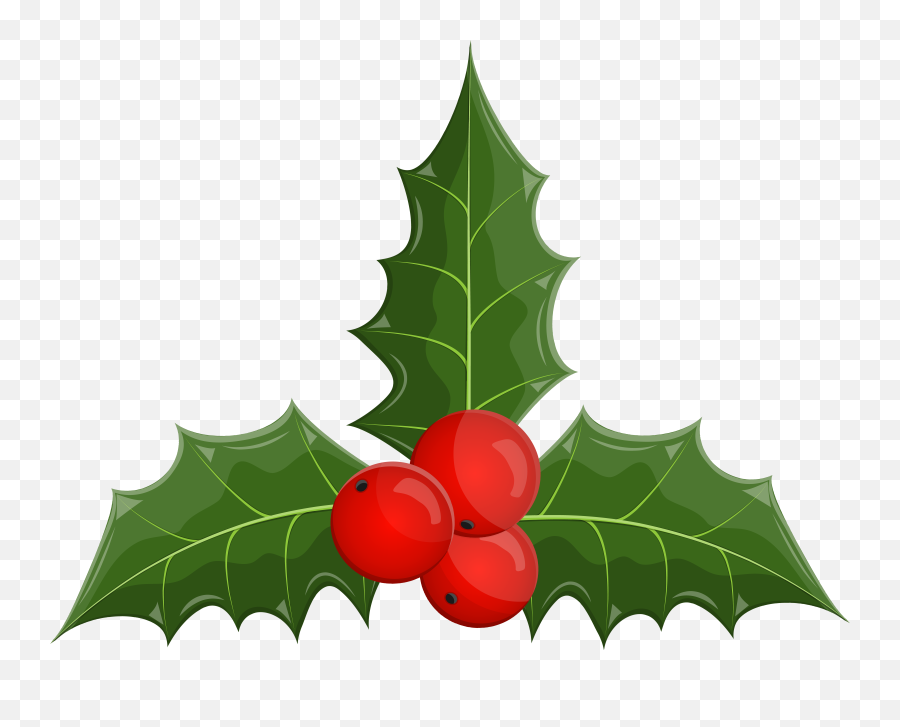 Clip Art Portable Network Graphics Png Mistletoe Clip Art Portable Network Graphics Png Mistletoe