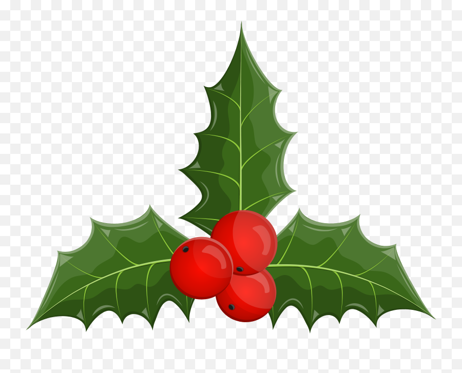 Clip Art Portable Network Graphics Png Mistletoe