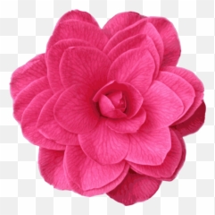 Pinkplantflower Png Clipart - Royalty Free SVG Icon