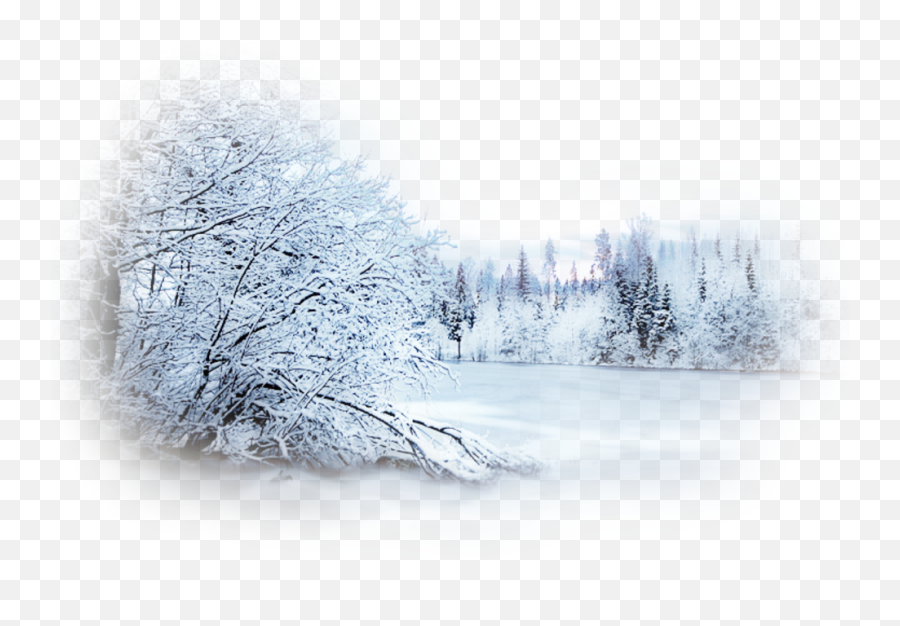 Desktop Png Snow Scenes U0026 Free Scenespng - Transparent Background Winter Png Clipart,Snow Transparent