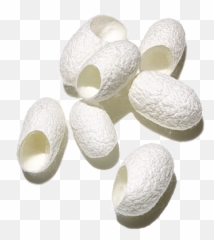 Best Ingredients For Hair Silk Proteins Prose - Hydrolyzed Silk Protein Png,Protein Png