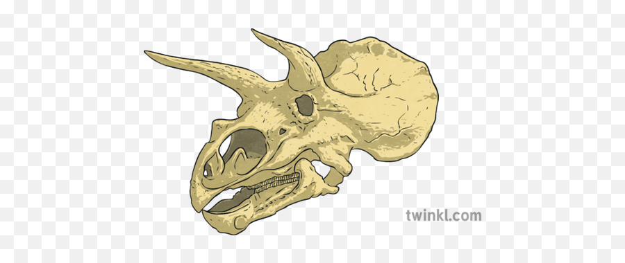 Triceratops Skull Dinosaur Bones Ar Twinkl Go Science - Skull Png,Skull And Bones Png