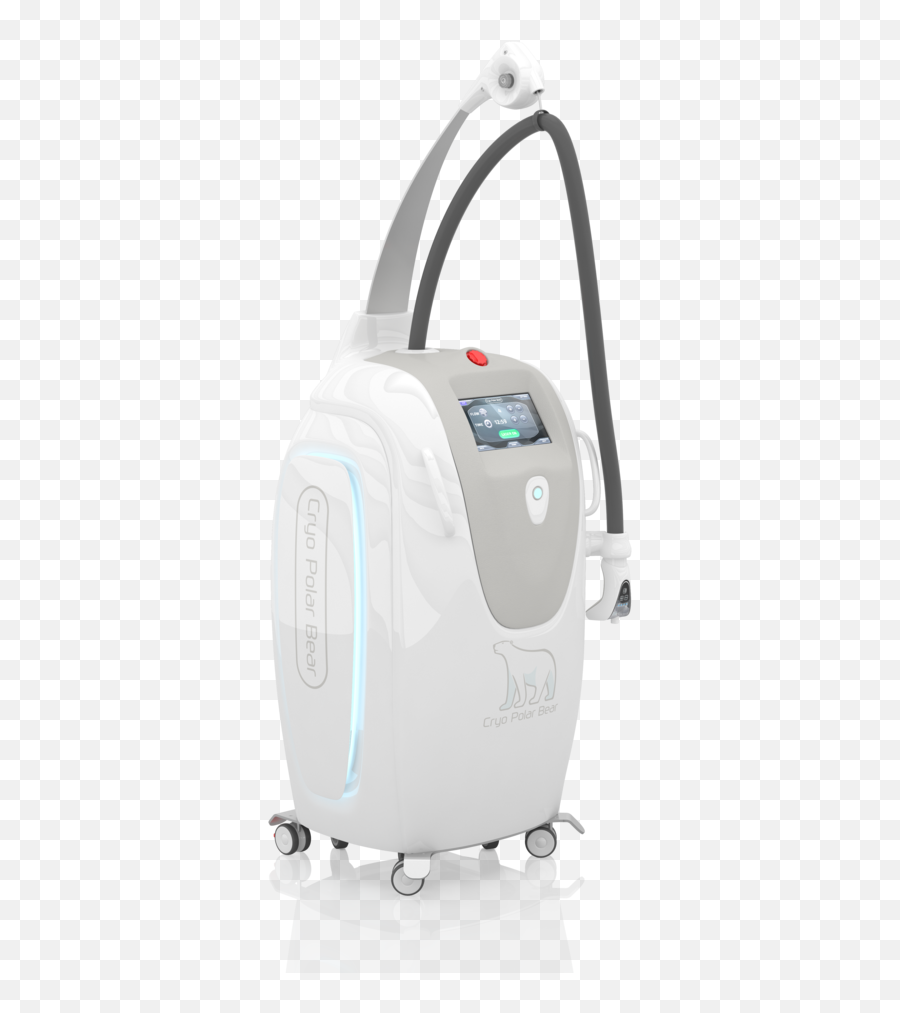 Polar Bear U2014 Promedical Equipment - Hand Luggage Png,Polar Bear Png