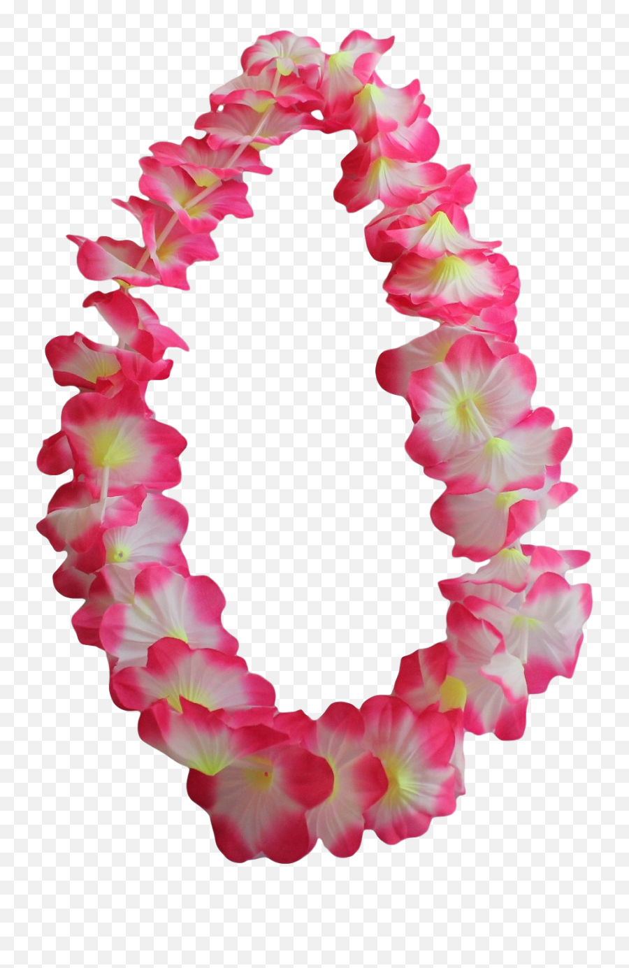Bulk Lot 96 X Hawaiian Flower Leis Wholesale Lei Party - Transparent Hawaiian Leis Png,Hawaiian Flower Icon