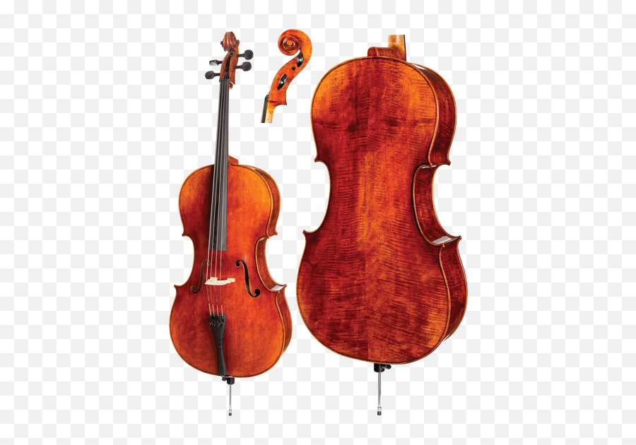 Download Wvs C30 Cello - Montagnana Vs Strad Cello Png,Cello Png