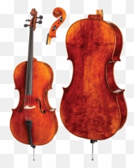 Download Wvs C30 Cello - Montagnana Vs Strad Cello Png,Cello Png
