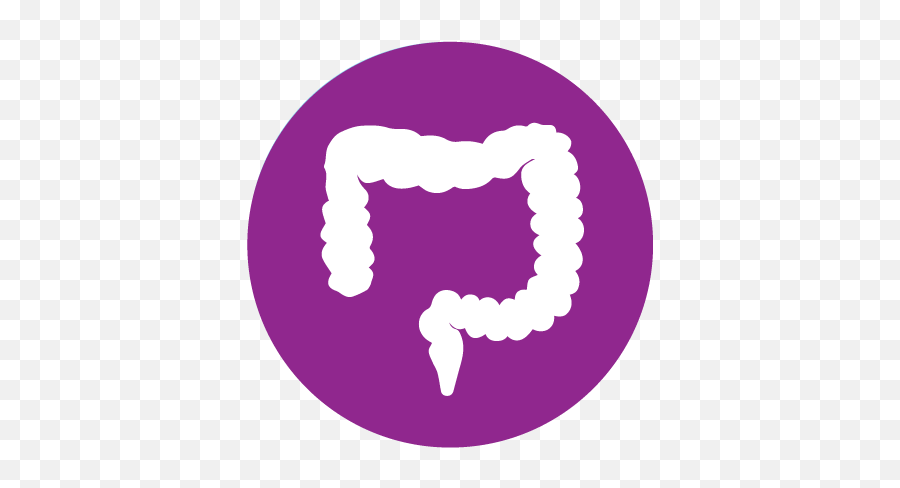 Download Digestive System - Colon Icon Png,Digestive System Icon