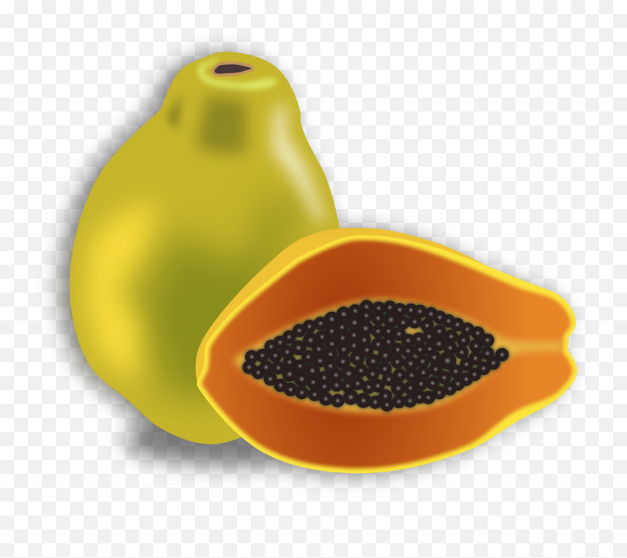 Stunning Cliparts Chico Fruit Clipart Png 42 - Papaya Png Clipart,Fruit Clipart Png