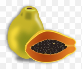 Stunning Cliparts Chico Fruit Clipart Png 42 - Papaya Png Clipart,Fruit Clipart Png