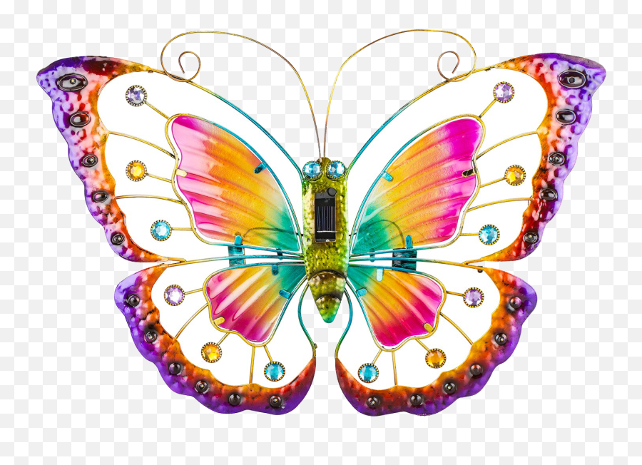 Colorful Butterfly Png Free Image Download