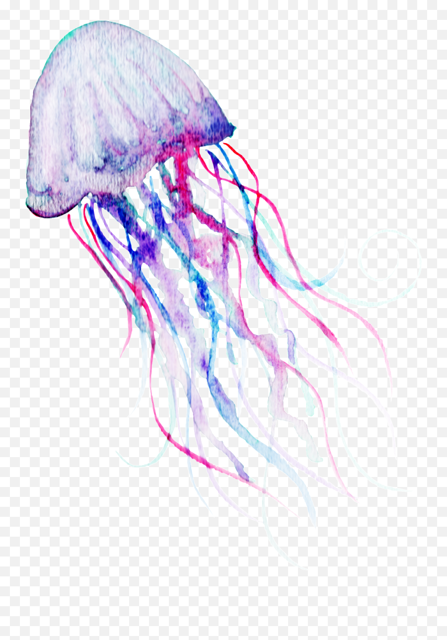 Download Hd Watercolor Deep Sea Jelly - Png,Jelly Png