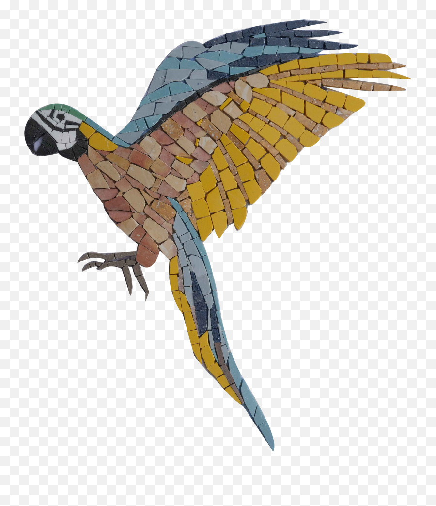 Landing Macaw Parrot Mosaic Artwork - Parrots Png,Macaw Icon