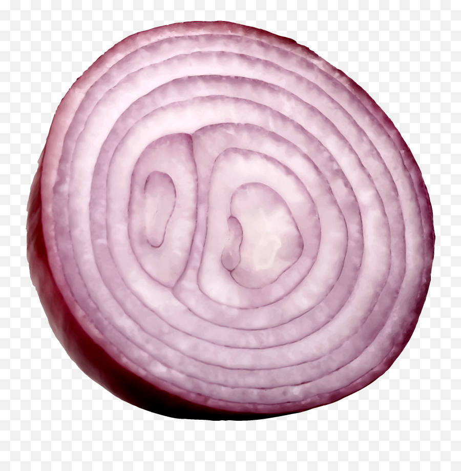 Slice Onion Png