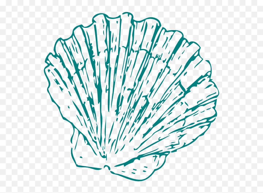 Seashell Transparent Png Pictures - Sea Shell Illustration Png,Sea Shell Png