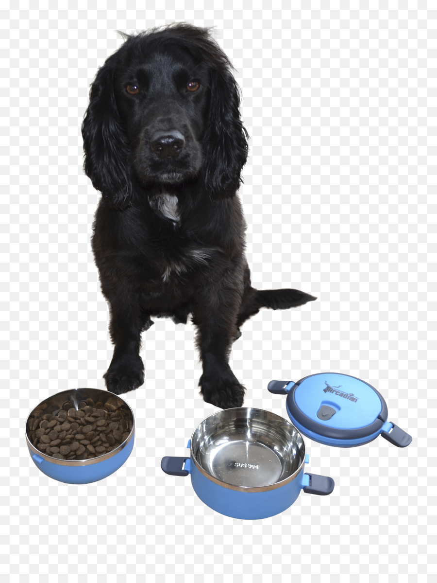Compact Dog Travel Food And Water Tight Bowl Set By Arcadian - Dog Png,Dog Bowl Png