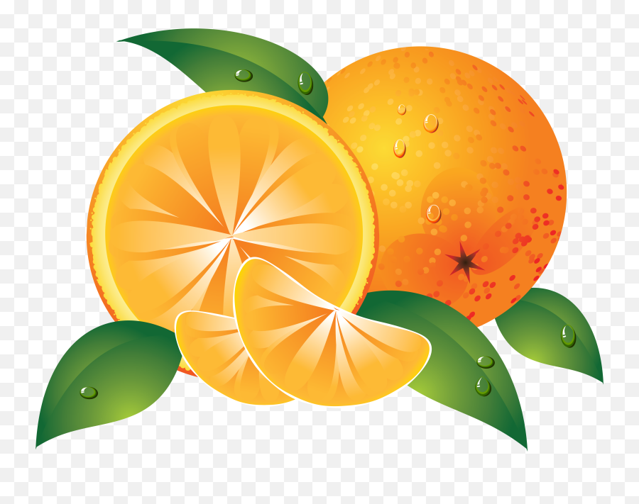 Pin By Hopeless - Orange Png,Clementine Png