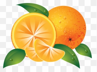 Pin By Hopeless - Orange Png,Clementine Png