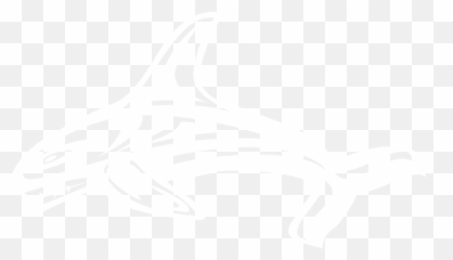Spirits U2014 Orcas Distributors Png Orca