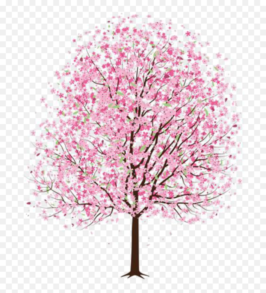 Tree - Cherry Blossom Tree Drawing Png,Cherry Blossom Png