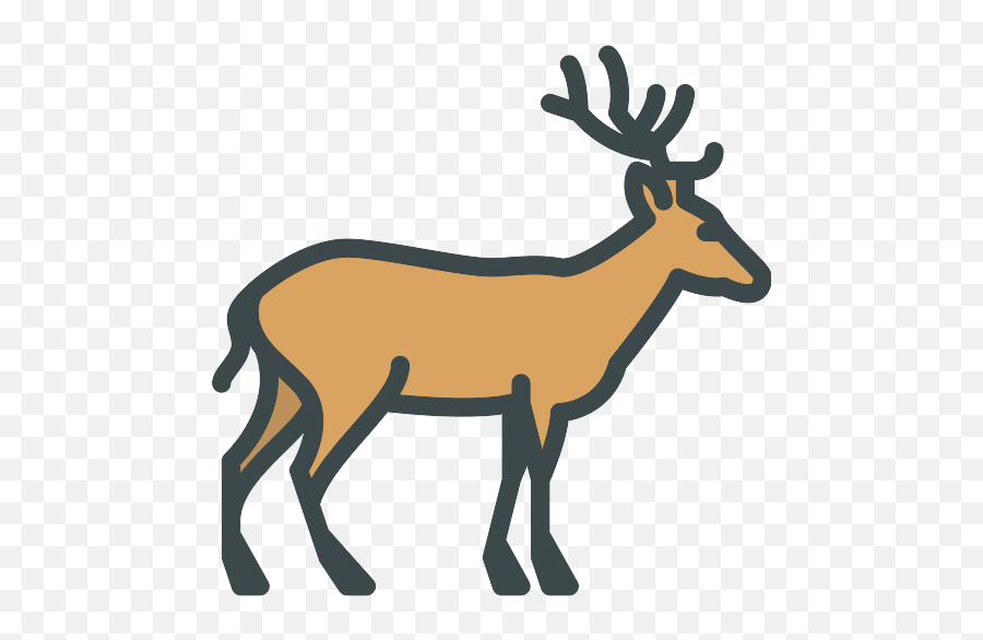 Deer Png Icon - Animal Kingdom Clipart Black And White,Deer Png
