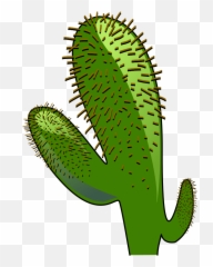 Cactus Succulent Clipart Transparent Png