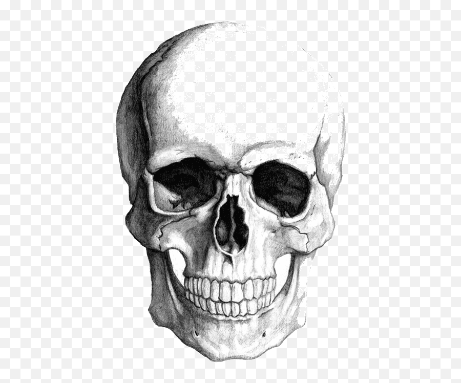 Top Gday Freinds Skull Stickers For Android U0026 Ios Gfycat - Skull Shading Png,Skull Emoji Transparent