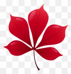 Red Leaf Png Clip Art Autumn Leaves Photography - Png