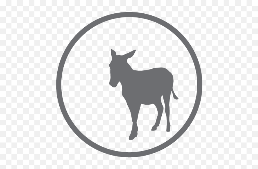 Cropped - Burro Png,Ass Png