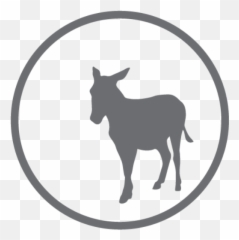 Cropped - Burro Png,Ass Png