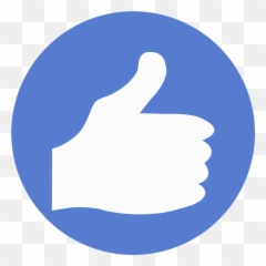 Election Thumbs Up Icon Circle Blue Iconset - png