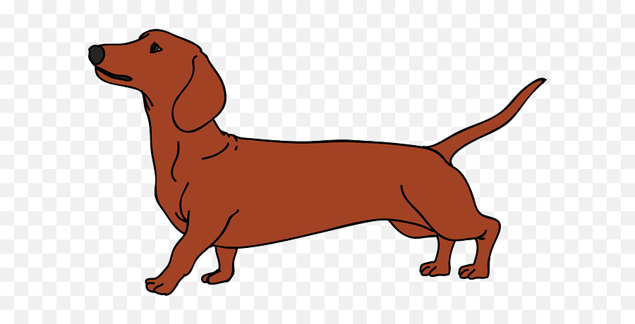 Christmas Dachshund Dog Vector - Dachshund Clipart Transparent Png,Dachshund Png