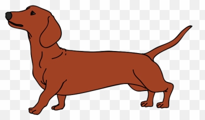 Christmas Dachshund Dog Vector - Dachshund Clipart Transparent Png,Dachshund Png