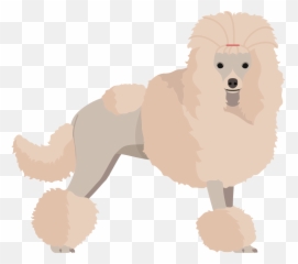 Download Poodle Png Image With No - Standard Poodle,Poodle Png