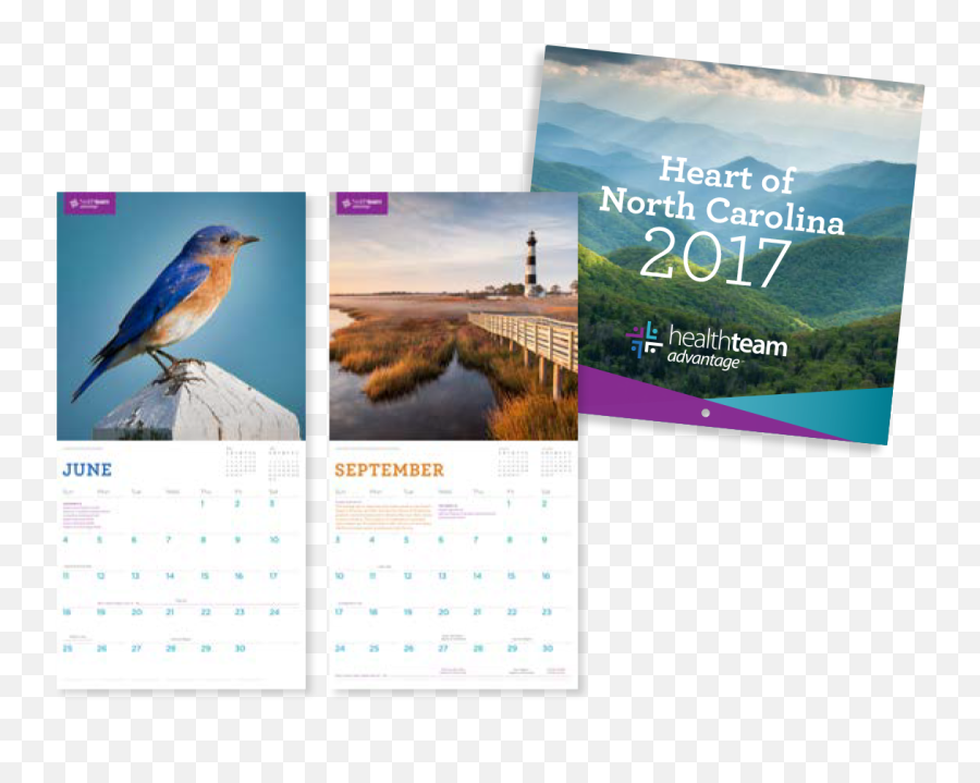 2017 - Mountain Bluebird Png,2017 Calendar Png