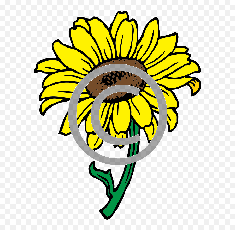 Sunflower Png U2013 Tigerstock Black And White Sunflower Clipart Sunflower Png Free Transparent Png Images Pngaaa Com