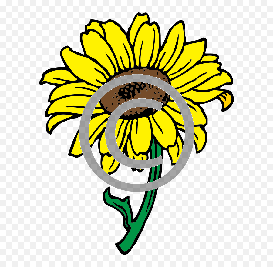 Sunflower Png U2013 Tigerstock - Black And White Sunflower Clipart,Sunflower Png