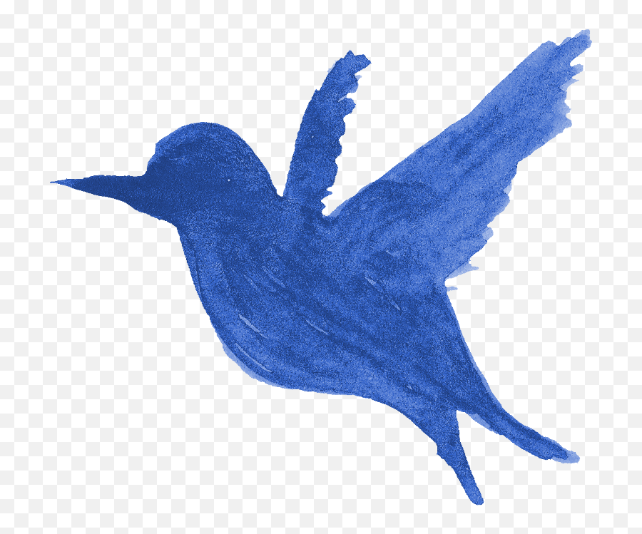 13 Watercolor Bird Silhouette Png Transparent Onlygfxcom - Mountain Bluebird,Bird Transparent Background