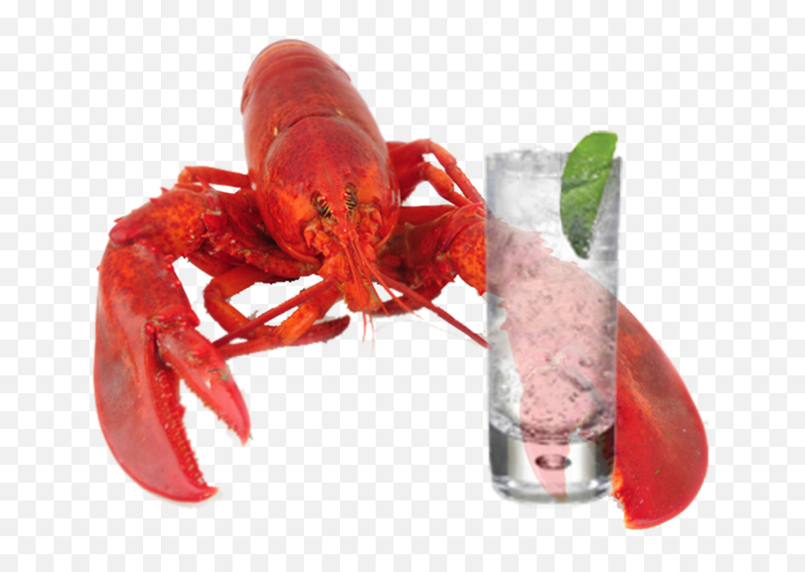 Lobster Download Transparent Png Image Arts - Crab To Lobster Meme,Lobster Png