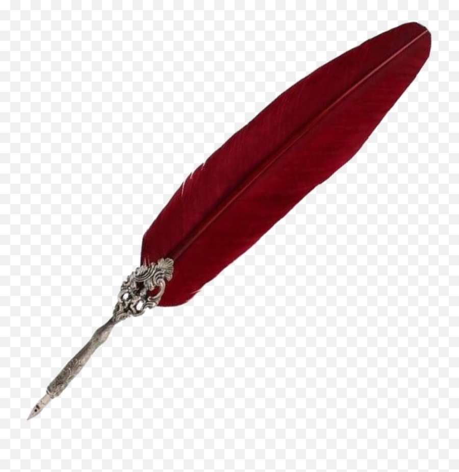 Dark Red Aesthetic Feather Pen Saimantarrat - Zipper Dark Red Aesthetic Png,Zipper Png