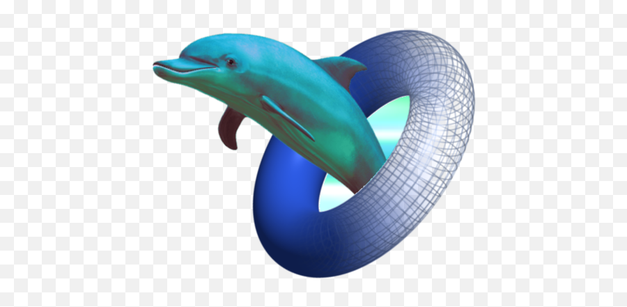 Dolphin - Freepngtransparentbackgroundimagesfreedownload Transparent Background Vaporwave Dolphin Png,Dolphin Transparent Background