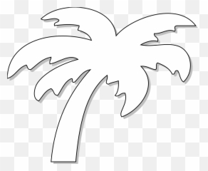 Black And White Palm Tree Clip Art - ClipArt Best Clipart Background png