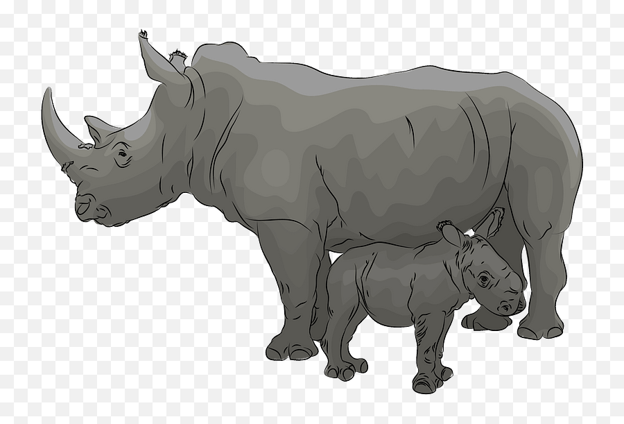 Mother With Baby Rhino Clipart Free Download Transparent - Baby Rhino Clipart Png,Rhinoceros Png