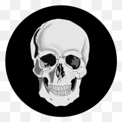 Amazoncom Scary Skeleton Prank Appstore For Android - Skull Queen Png,Spooky Skeleton Transparent