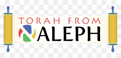 Torah From Aleph Transgressive Women U003du003e Transformative - Atomico E Numero De Massa Png,Karati Logo