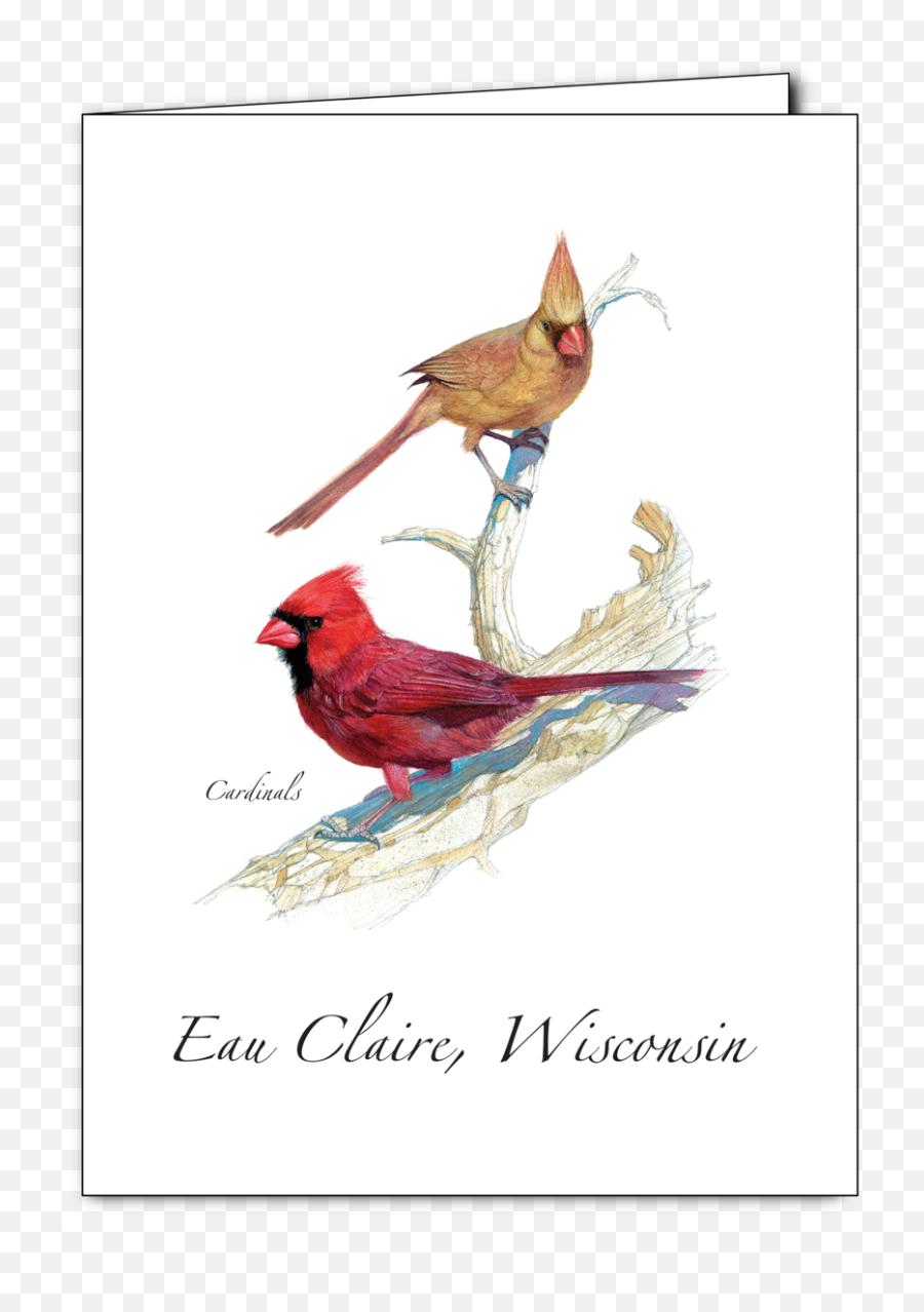 Cardinal Pair - New U2013 Earth Sky Water Northern Cardinal Png,Cardinals Png