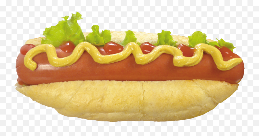 Hot Dog Png Image Transparent