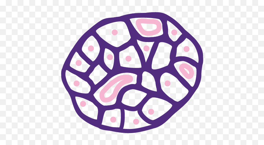 Pipeline Vertex Pharmaceuticals - Dot Png,Drug Development Icon